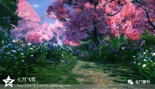 一场“天花板”级别手术为患者打通“生命通道”