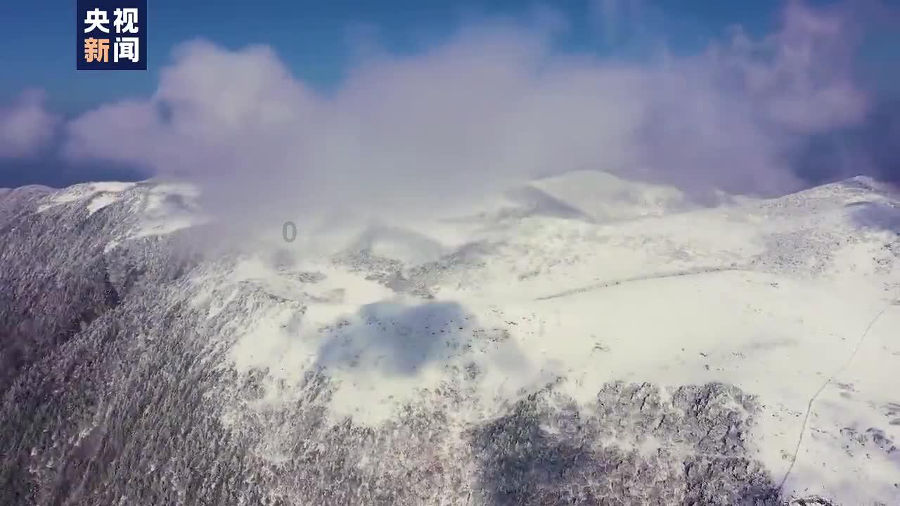 灵魂筹码