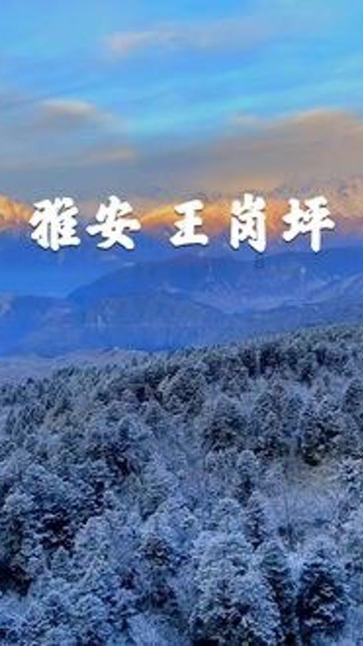 奋战24小时 警民合力寻回走失女童