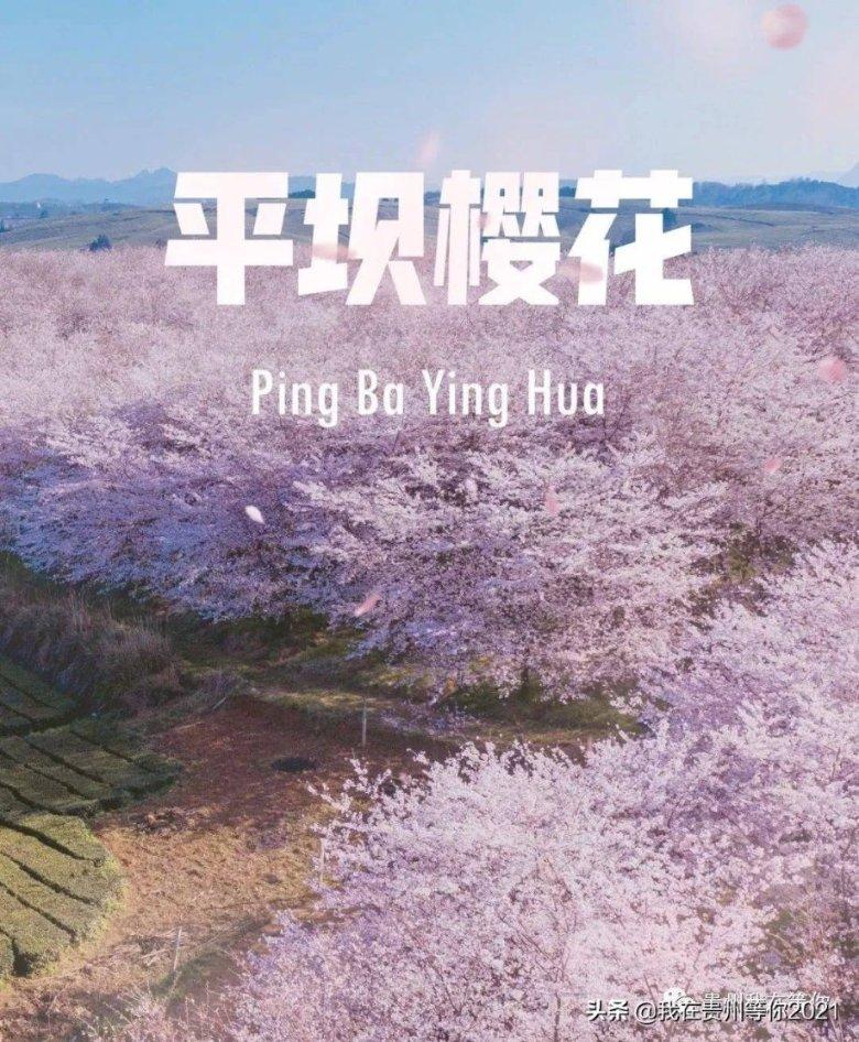 今日起,西安地铁运营时间有变!
