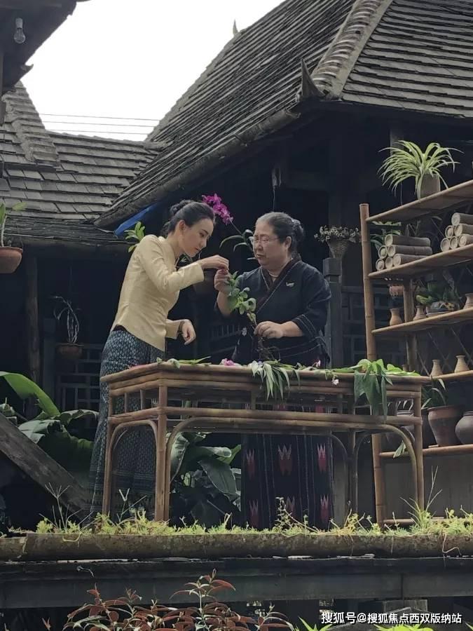 “哏儿都闹新春”开启春节新玩法 天津方特邀您花式过年 扫码阅读手机版