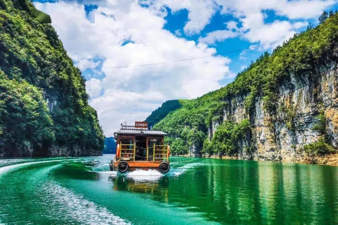 除猫浮毛小能手,速净快捷安心,希喂宠物空气净化器深度体验评测
