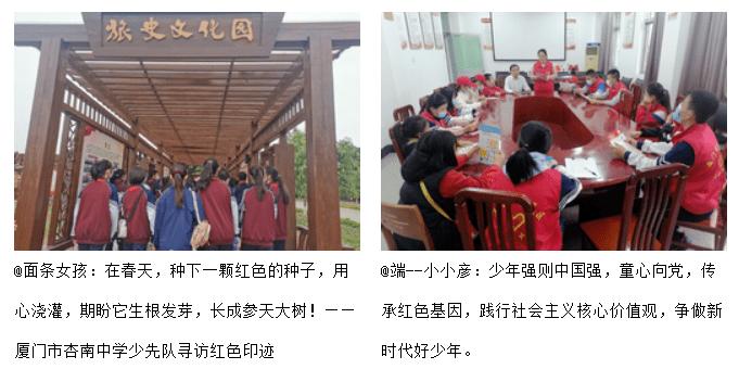 寻找萌小老虎