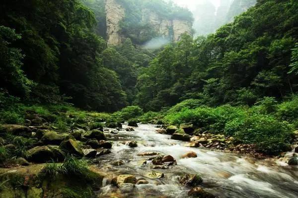 科特迪瓦临时主帅:淘汰卫冕冠军后并没有很兴奋,要保持好心态